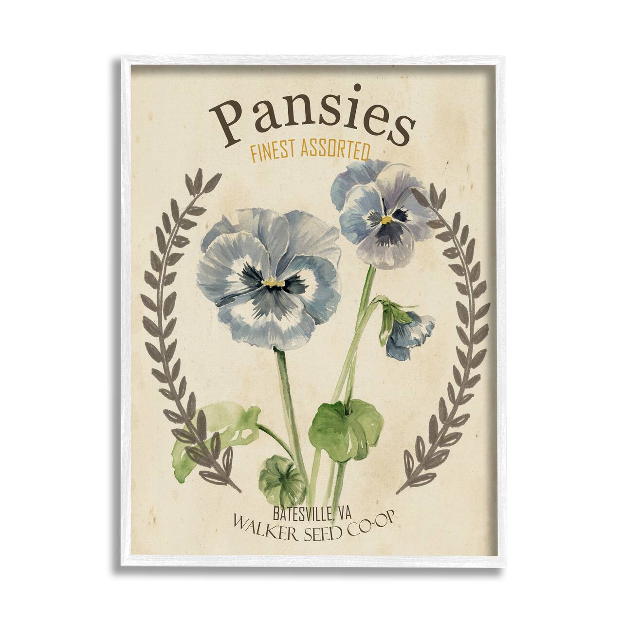 Stupell Industries Blue Assorted Pansies Vintage Floral Seed Packet Framed Wall Art